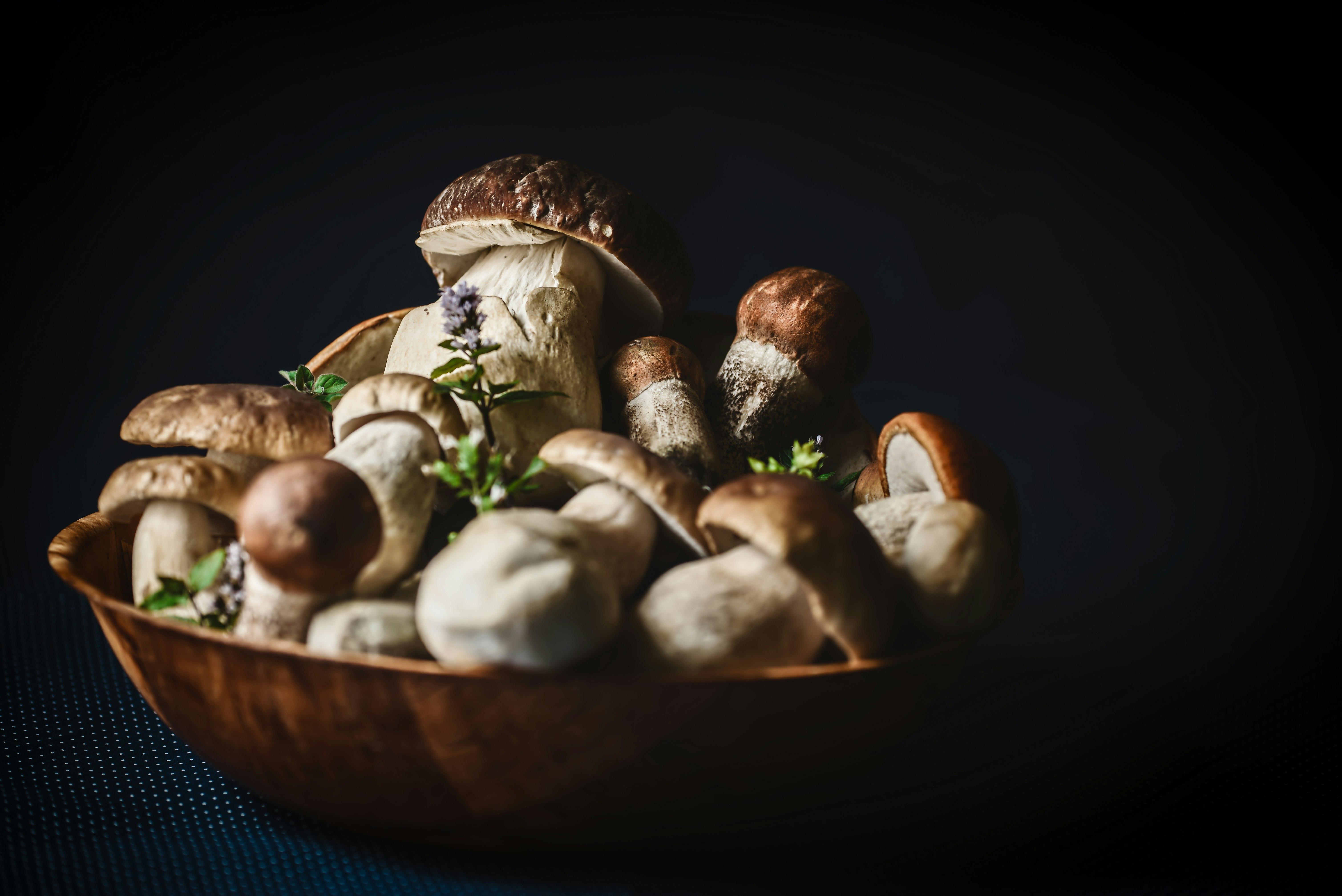 mushroom inside bowl with dim background